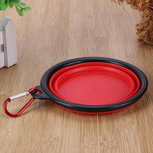 Collapsible Dog Bowl